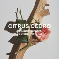 Agua Fresca Citrus Cedro  120ml-207813 Agua Fresca Citrus Cedro  120ml-207813 2
